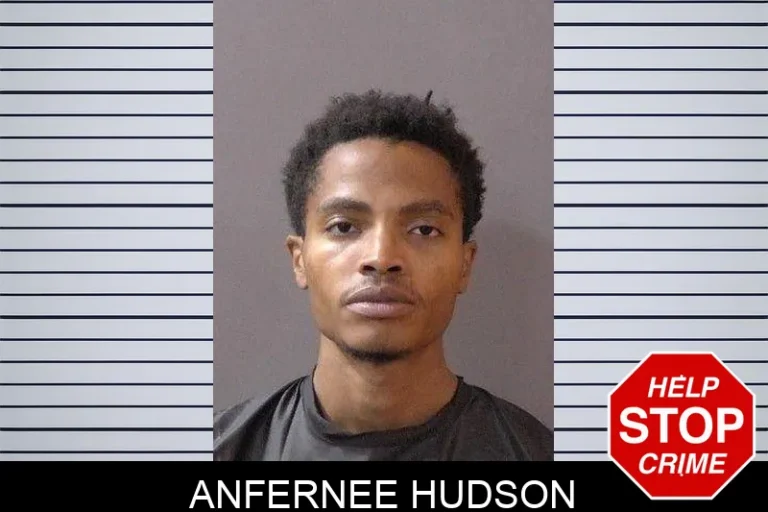 Anfernee Hudson