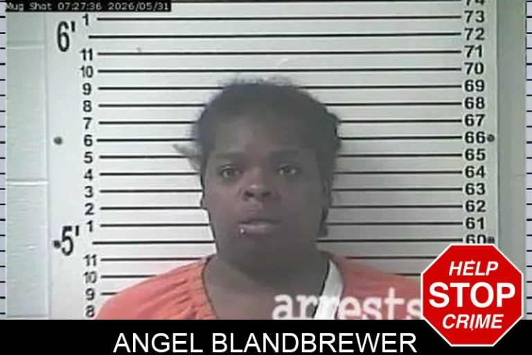 Angel BlandBrewer