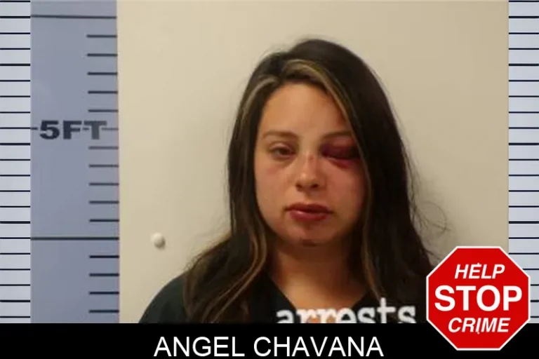 Angel Chavana