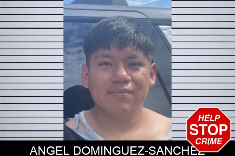 Angel Dominguez-Sanchez
