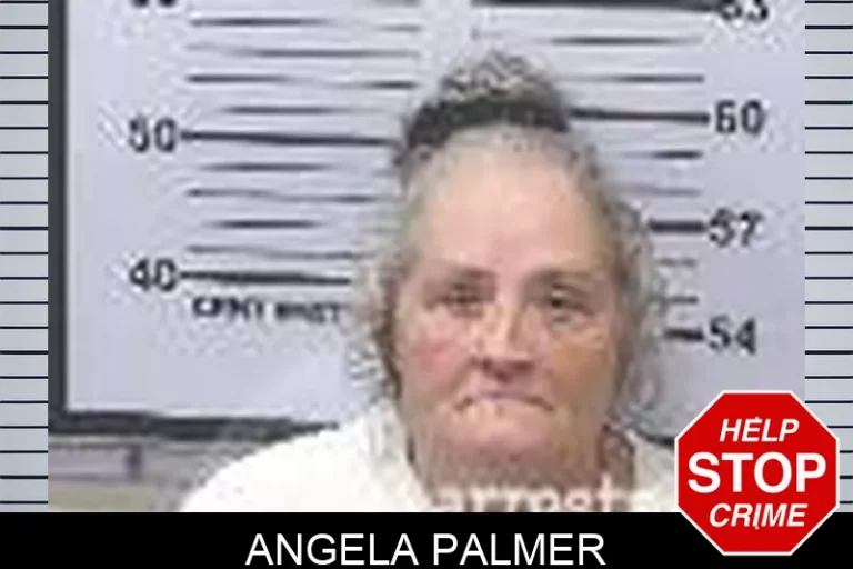 Angela Palmer