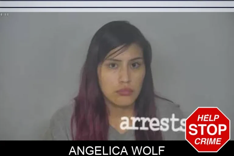 Angelica Wolf