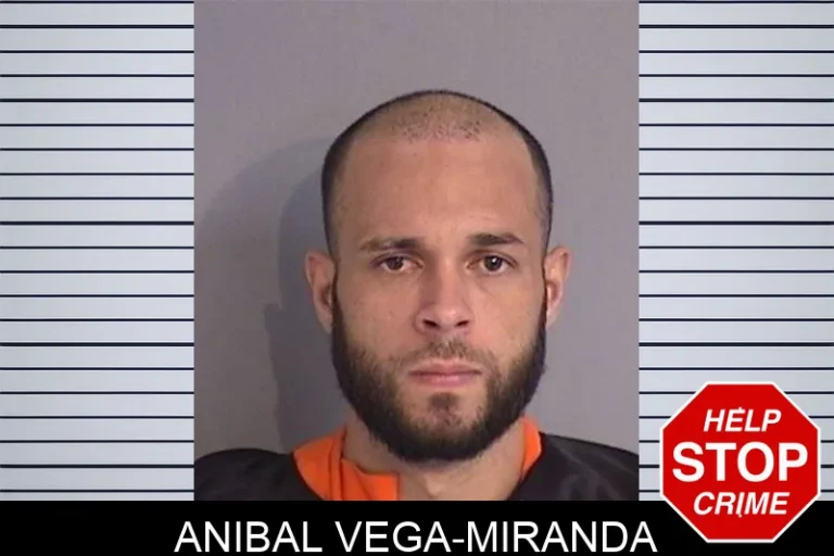 Anibal Vega-Miranda