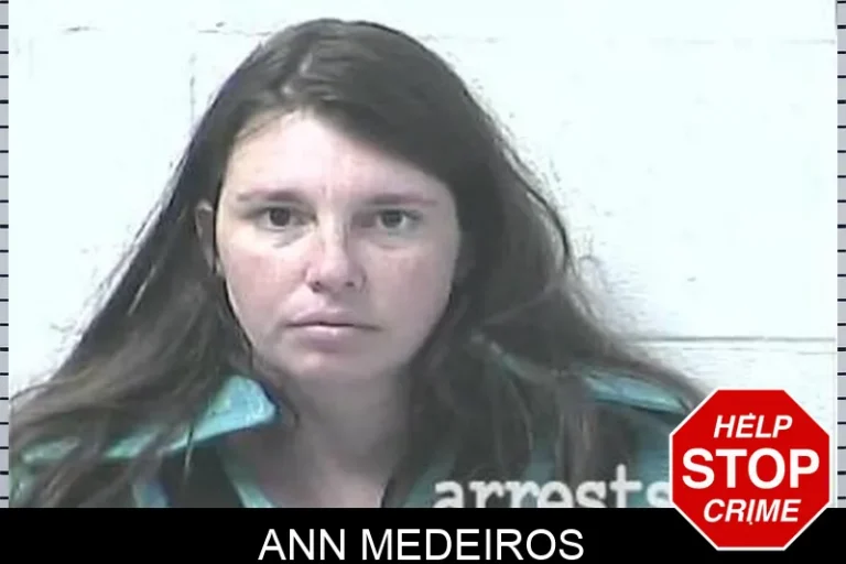 Ann Medeiros
