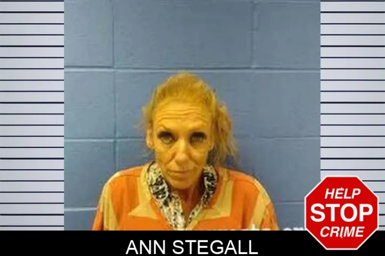 Ann Stegall