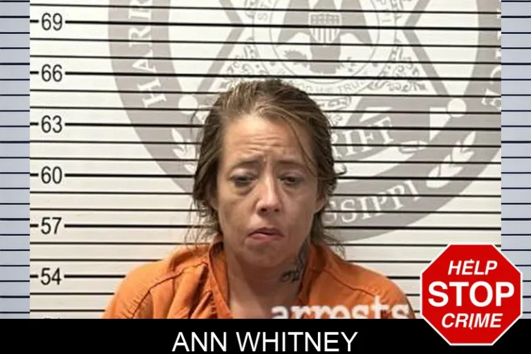 Ann Whitney