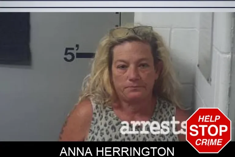 Anna Herrington