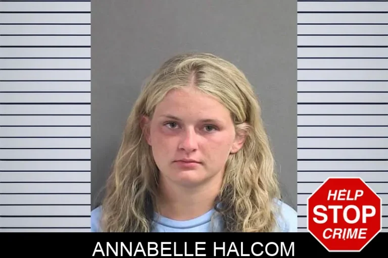 Annabelle Halcom