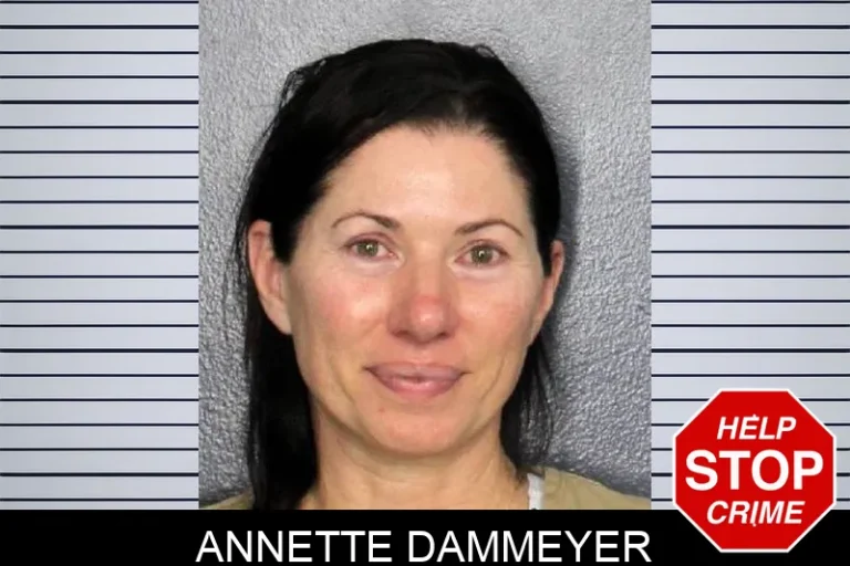 Annette Dammeyer