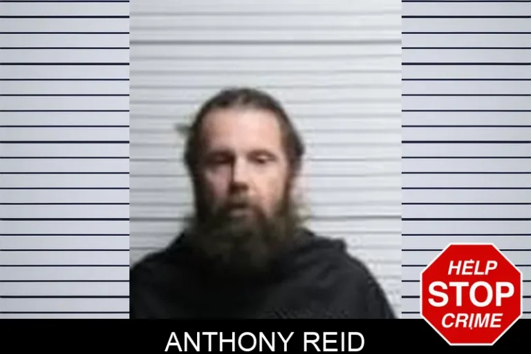 Anthony Reid