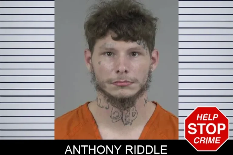 Anthony Riddle