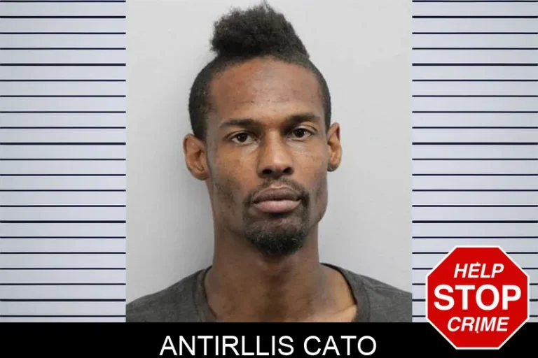 Antirllis Cato