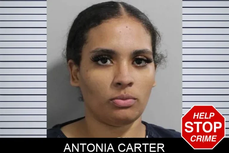 Antonia Carter
