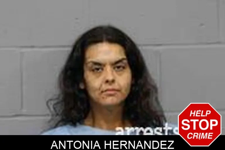Antonia Hernandez