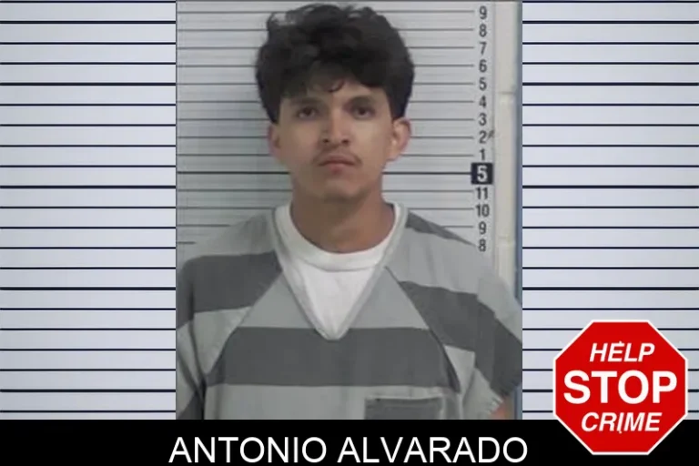 Antonio Alvarado