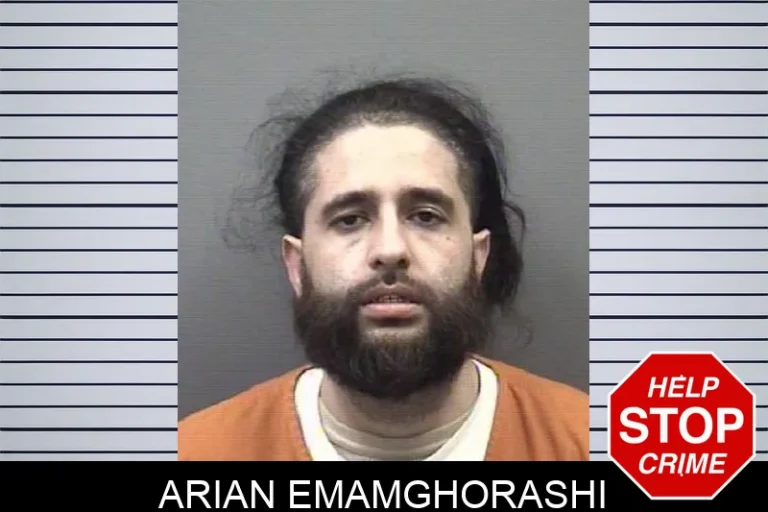 Arian Emamghorashi
