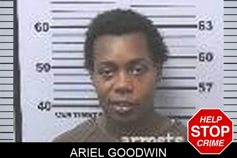 Ariel Goodwin