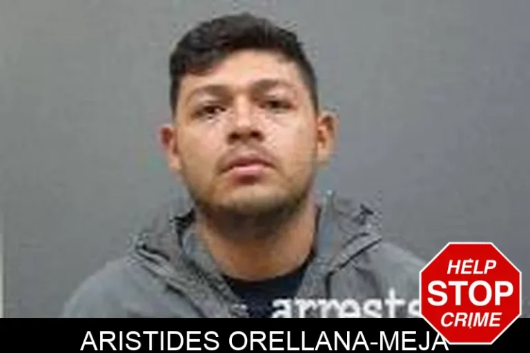 Aristides Orellana-Meja