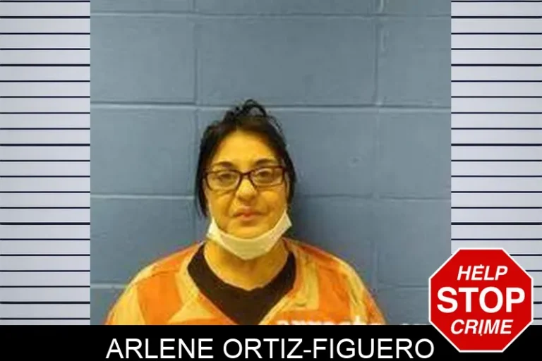 Arlene Ortiz-Figuero