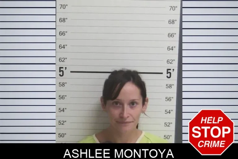 Ashlee Montoya