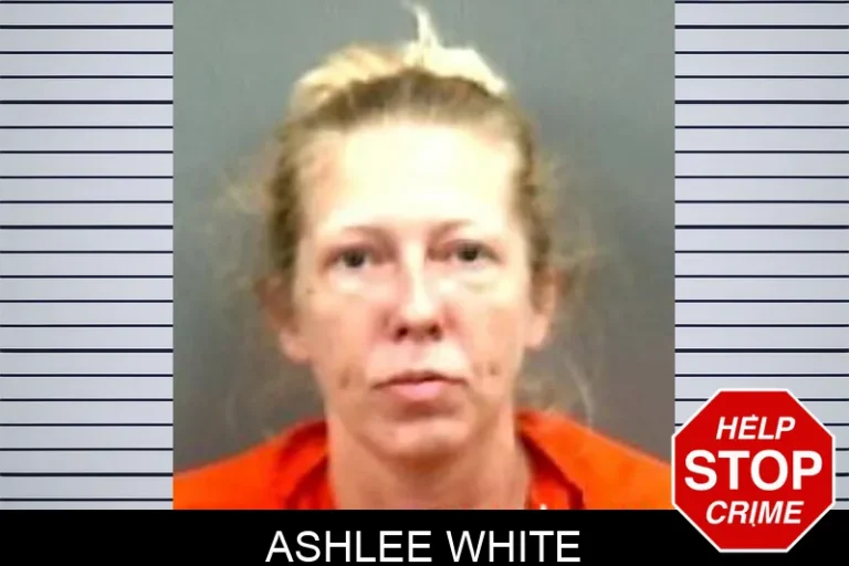 Ashlee White
