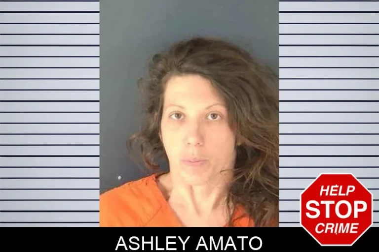 Ashley Amato