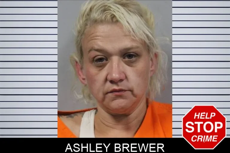 Ashley Brewer