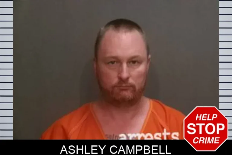 Ashley Campbell