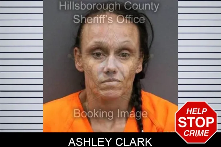 Ashley Clark