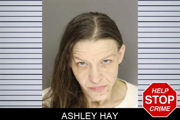 Ashley Hay