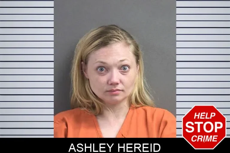 Ashley Hereid