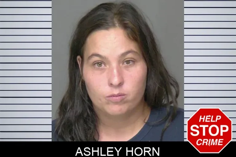 Ashley Horn