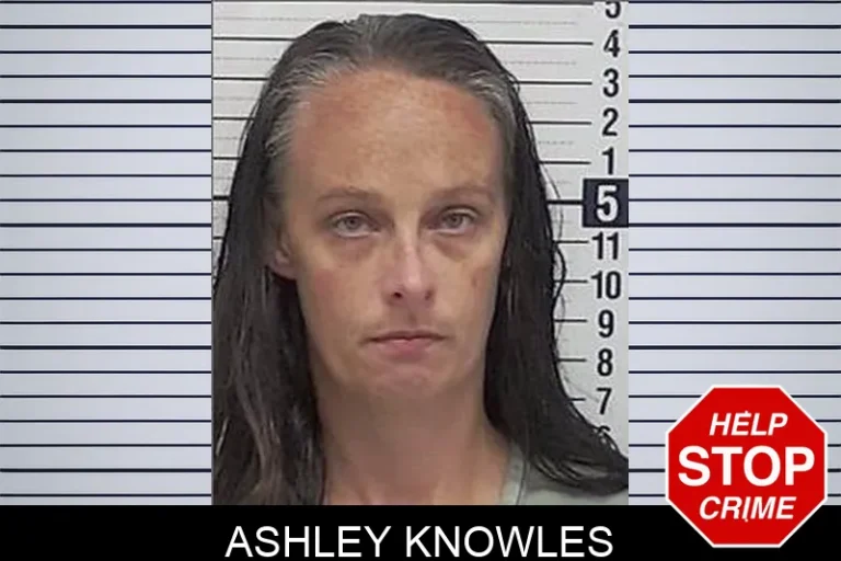 Ashley Knowles