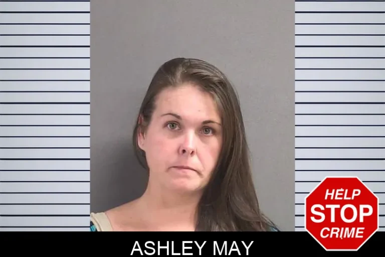 Ashley May
