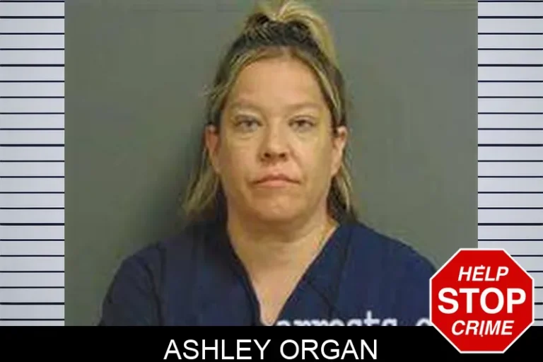Ashley Organ
