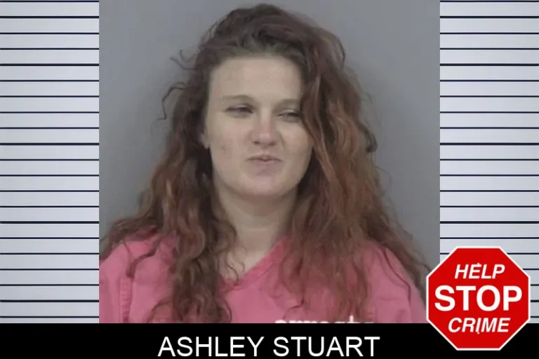 Ashley Stuart