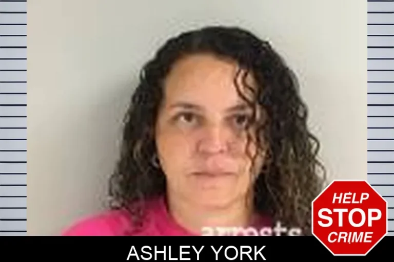 Ashley York