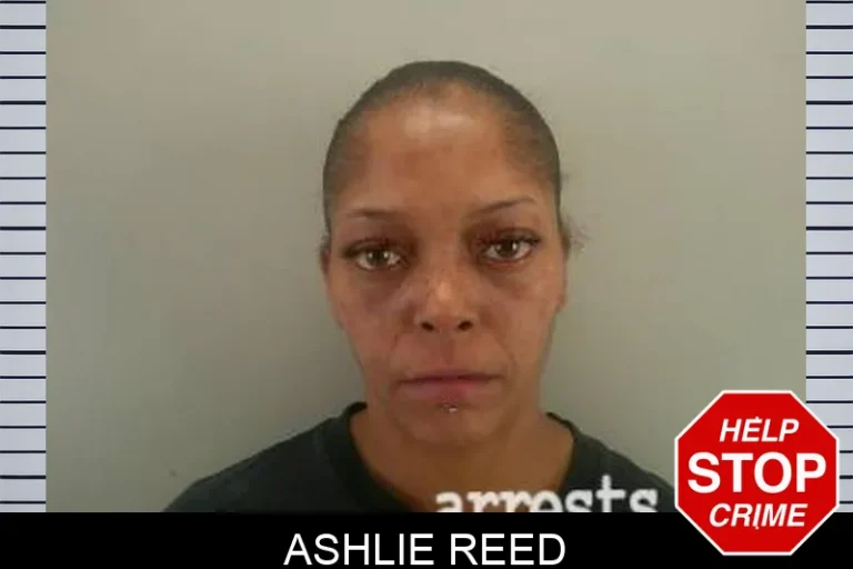 Ashlie Reed