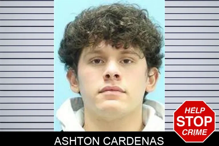 Ashton Cardenas