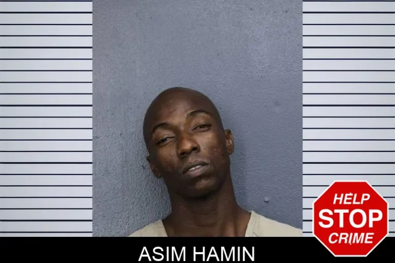 Asim Hamin