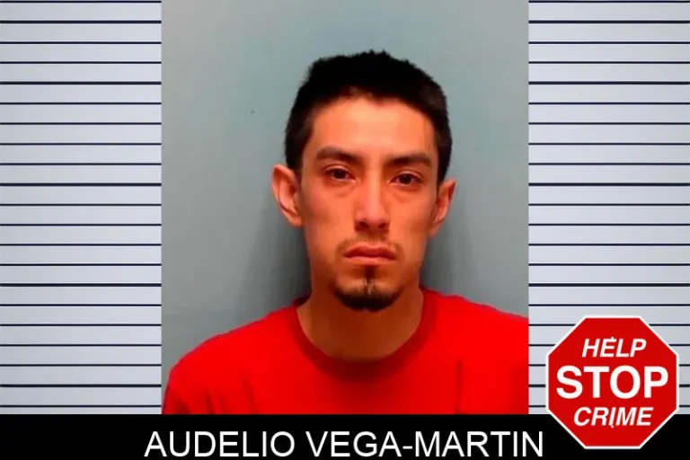 Audelio Vega-Martin