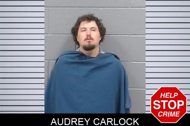 Audrey Carlock