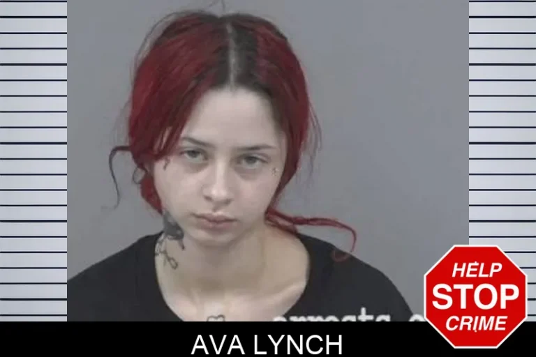 Ava Lynch