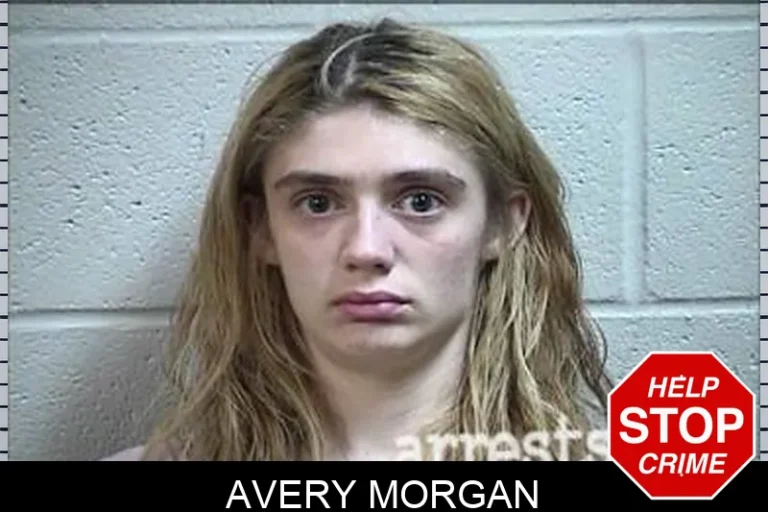 Avery Morgan