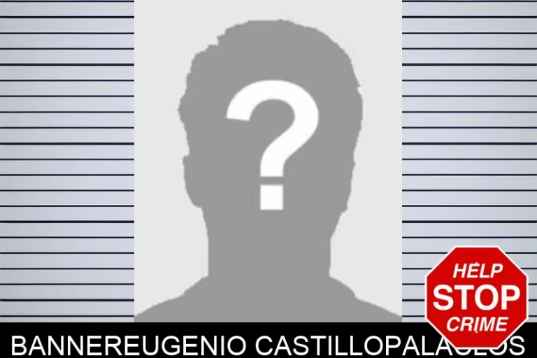 BannerEugenio CastilloPalaclos