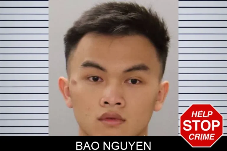 Bao Nguyen