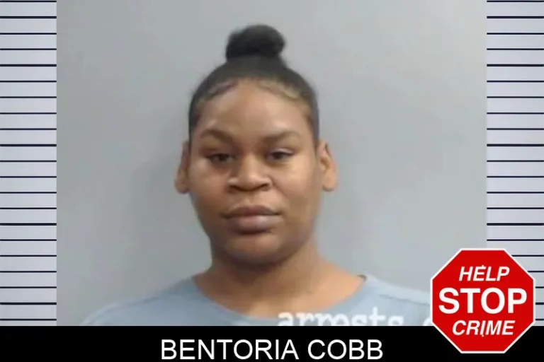 Bentoria Cobb