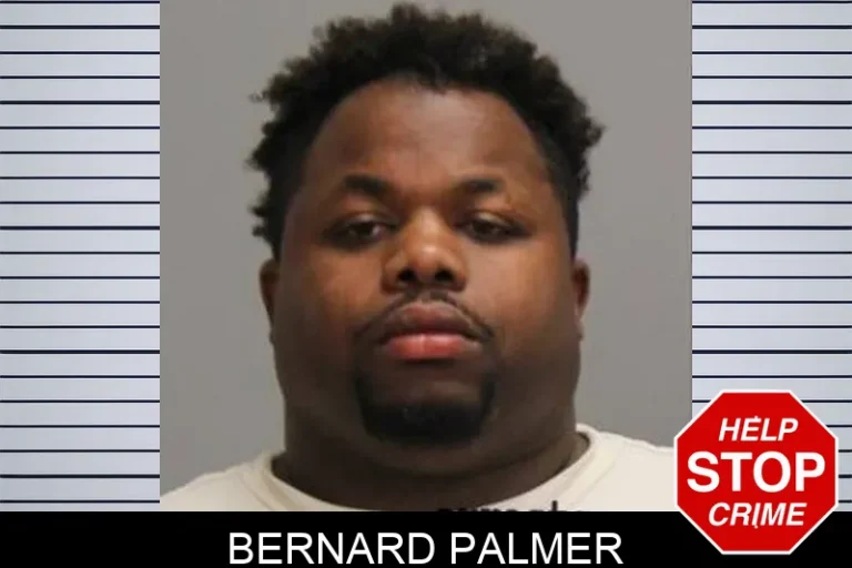 Bernard Palmer