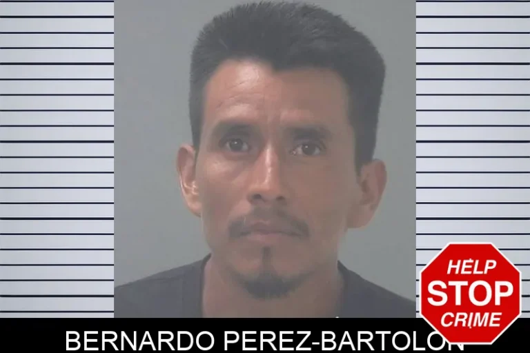 Bernardo Perez-Bartolon