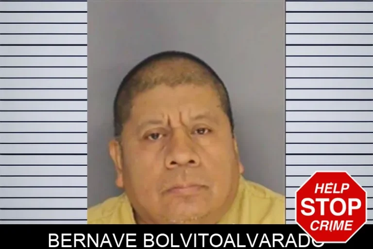Bernave Bolvitoalvarado